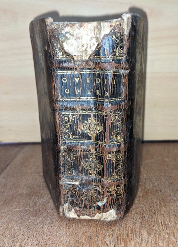 Altes buch publii - -, oviii