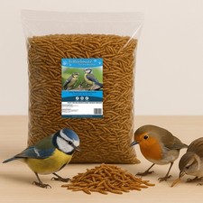 Futterbauer 10 kg Mehlwürmer