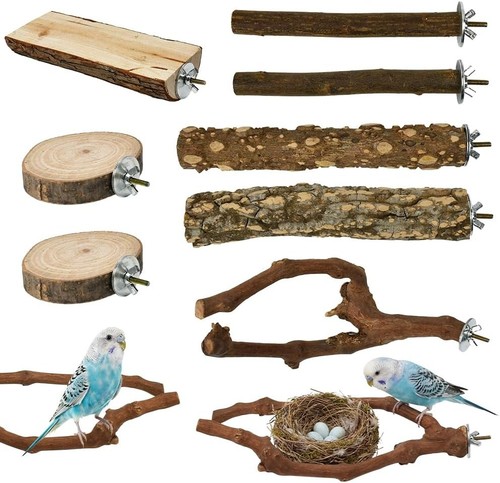 Vogel sitzstangen set aus - vogel,
