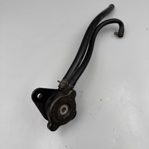 Yamaha 350 ypvs rohr - yamaha,