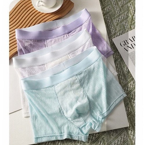 Atmungsaktive eis seide trunks - eis,