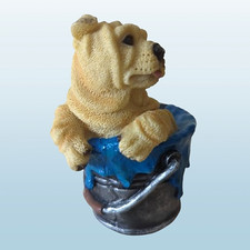 Shar Pei (chinesischer