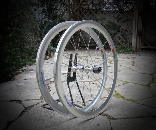 Nos campagnolo shamal - campagnolo, 26"