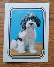 Sticker Aufkleber Ferrero Duplo Sammelbild Unsere liebsten Freunde Zwergpudel