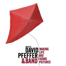 David Pfeffer | CD | Waking life and fading pictures (& Band)
