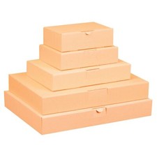 Maxibriefkartons Versandkarton