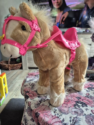 Baby born cute horse - baby, my
