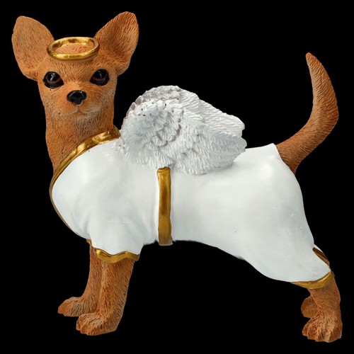 Chihuahua figur engel welpe - chihuahua,