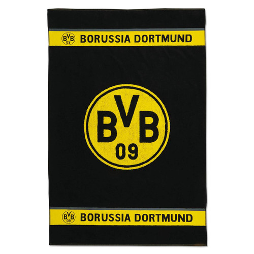 Borussia dortmund bvb - borussia,