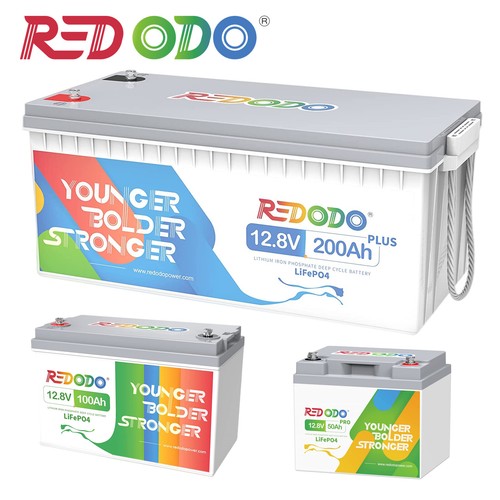 Redodo 12v 24v - 12v, 100ah