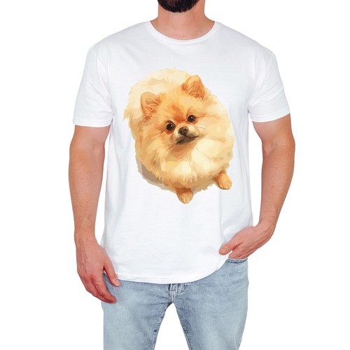 Süßes pomeranian herren - süßes,