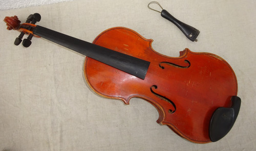 Geige violine cm korpus - 59,