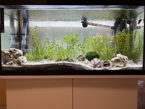 120 liter aquarium mit - ,