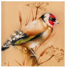 Original Zeichnung -   Vogel