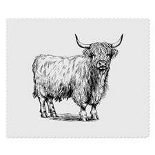 2 Linsenreinigungstücher