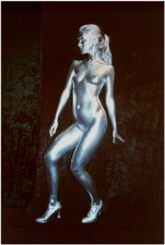 Ganzkörper Bodypainting Farbpulver Silber sehr Effektvoll mit Anleitung 100 gr.