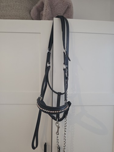 Leder pferde halfter schwarz - leder, pferde-halfter