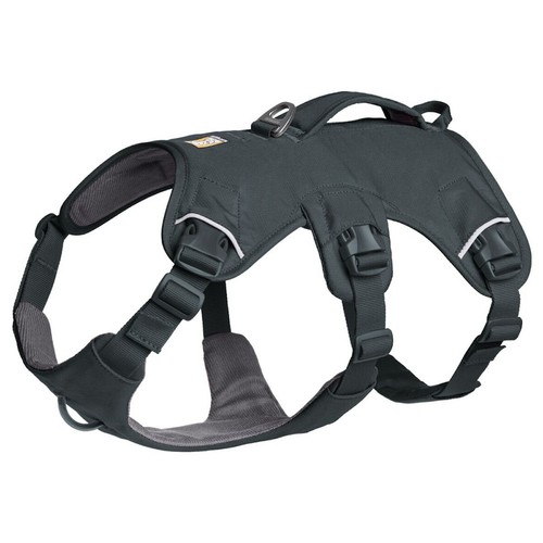 Ruffwear web master - web,