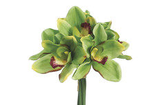 Real touch cymbidium - 12",