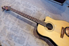 Session Bass Gitarre mit Amp