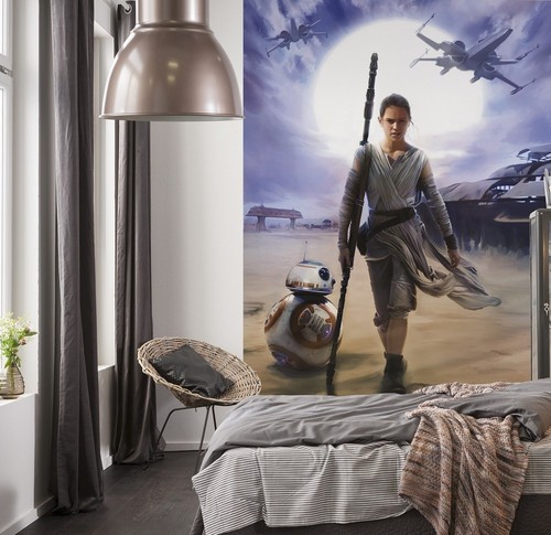 Star wars rey fototapete - wars,