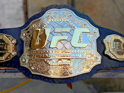 Ufc ultimate fighting - ufc,