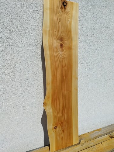 Kirschbaum