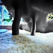 Aquarium Terrarium Eckversteck