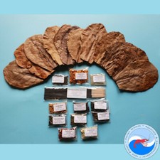 Futter-Set // Sticks Seemandelbaumblätter Shrimp Lollies// Garnelen Futter