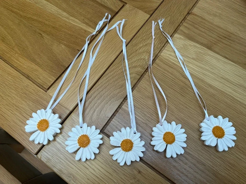 Hängende gänseblümchen - 5,