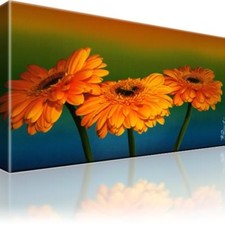 Gerbera Blumen Bild Bilder Leinwand Keilrahmen Wandbild Kunstdruck
