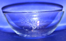 XL Salatschale Edle Glasschüssel von Luigi Colani Glasschale Ritzenhoff Cristal