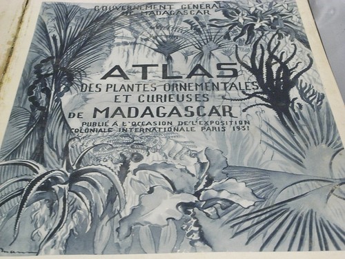 Buch atlas kuriose - atlas,