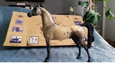 peter stone araber picasso 1999 special run limited edition arabian Breyer
