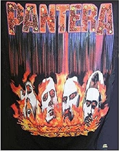 Pantera flames flagge - pantera,