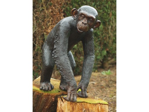 Bronze skulptur schimpanse - bronze,