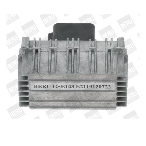 Borgwarner gse143 - borgwarner, (beru)