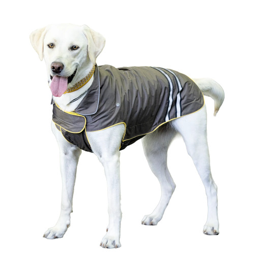 Beeztees hunde regenmantel - hunde,
