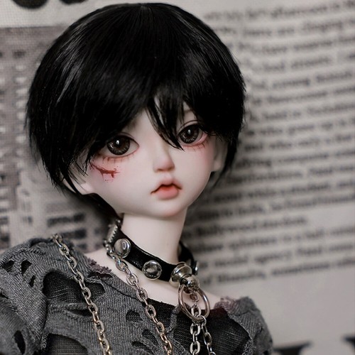 Bjd ball jointed - 1/4, sd