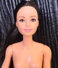 Hispanic Barbie fashionistas