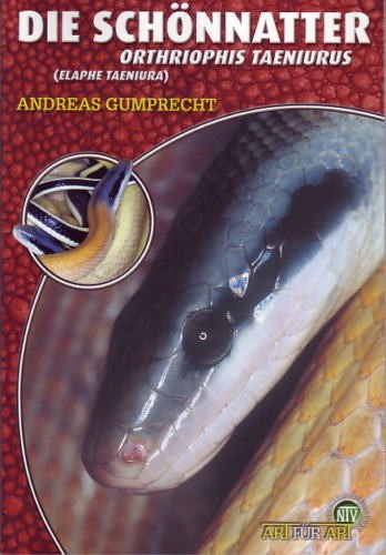 Die schönnatter orthriophis - schönnatter,