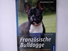 Französische Bulldogge