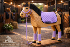 Set Halfter mit Strick