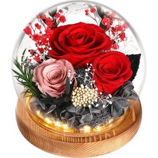 Ewige Rose im Glas Geschenke