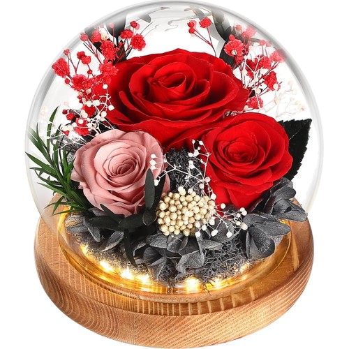 Ewige rose glas - rose, im