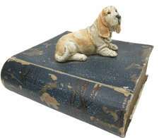 Buch mit Basset Hound Schatulle Geheimfach Versteck A-2