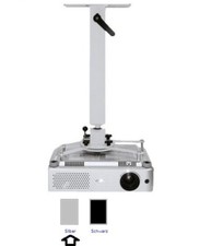 Medium Standard 60-110cm