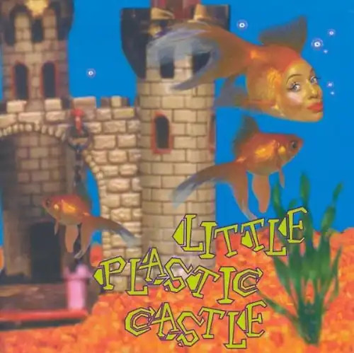 Ani difranco little plastic - -,
