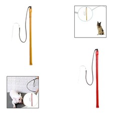 Hundetrainingspeitsche