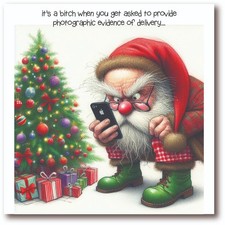 Weihnachtskarte - Zustellnachweis - lustige unhöfliche Humorkarte für Erwachsene - BW0187